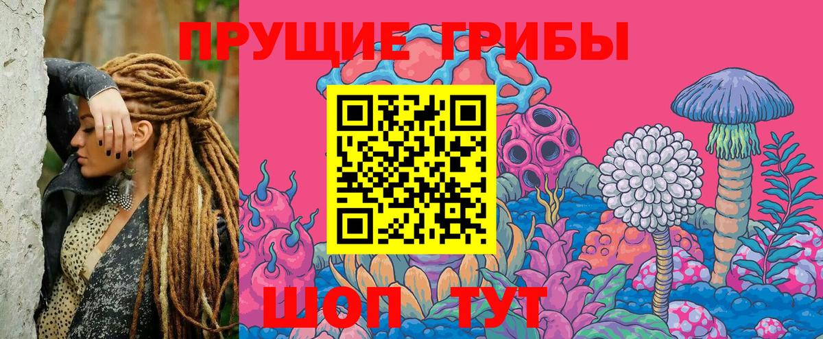 Псилоцибиновые грибы MAGIC MUSHROOMS Чернушка