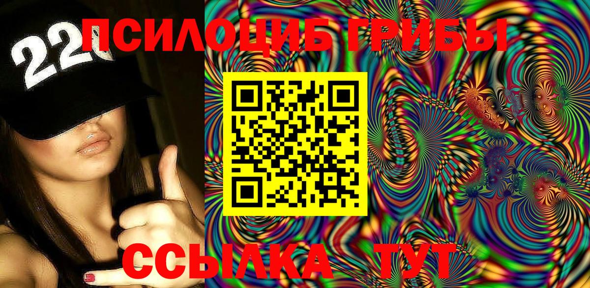 Псилоцибиновые грибы Cubensis  Вход с VPN  Псилоцибиновые грибы Cubensis  Чернушка 